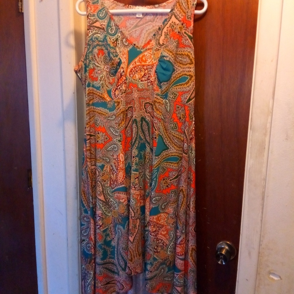 Dresses - Picture 5 of 8